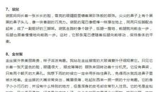 描写小动物的好句