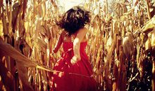 想你的世界里的句子