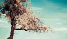 骂人胸小的句子