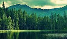 感慨人生的经典句子