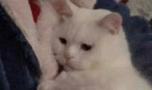 关于自己是路痴的说说