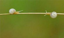 感谢相遇的句子