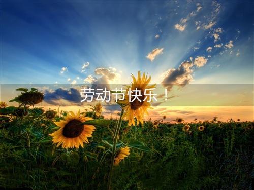  5月1日