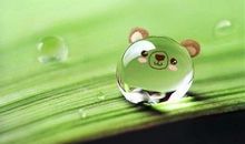 无奈的抒情句子