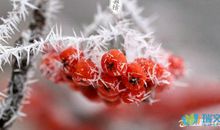 最新描写冬天的句子参考