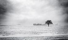 表示对某些事很失望的句子