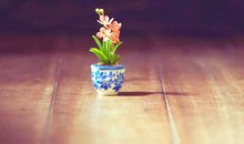 胳膊受伤了发表心情说说