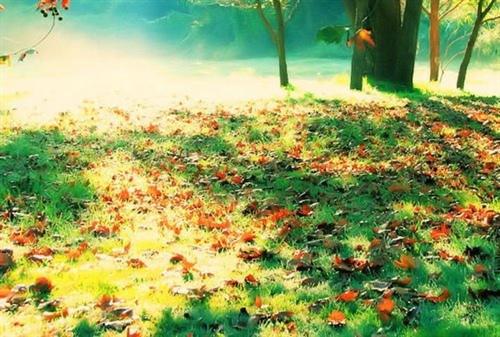天气越来越冷