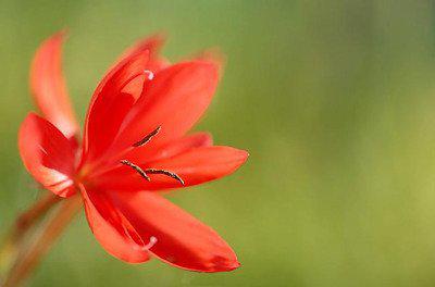 四个季节不懒惰