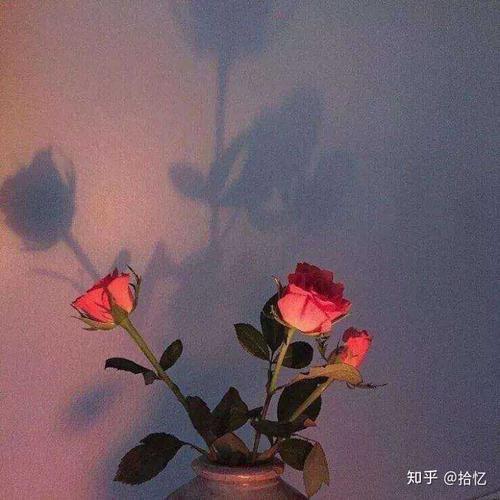 然后继续生活
