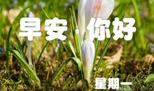周一的早安祝福语
