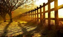 秋的抒情句子21句