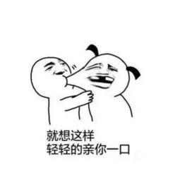 我如此莫名其妙地爱你