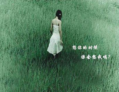    我习惯于想起您的句子  1