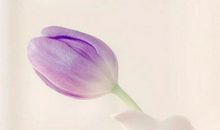 对男友失望看透的句子