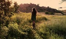 表达对感情失望的句子