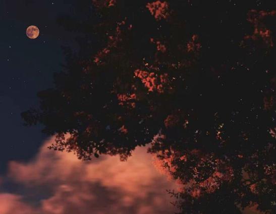 天空满是星星
