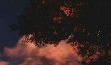 抖音超火唯美浪漫的星星短句