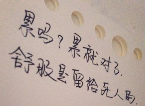 哲学词的选择：
 1）明天将是世界上增长最快的一块土地
