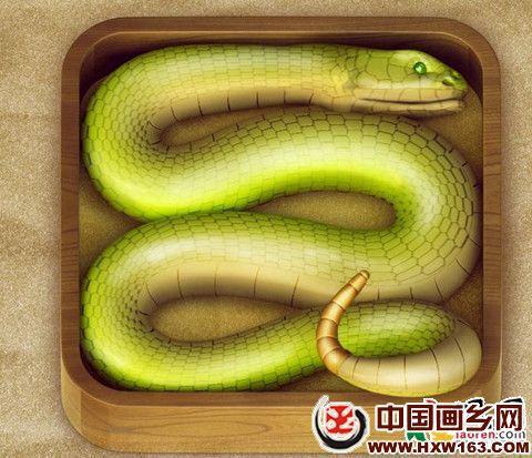   梦见一条小蛇