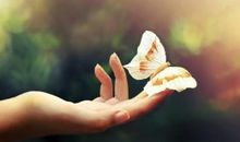 美到心痛的句子