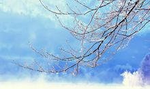 哲理句子：勇于开始