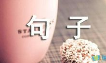 描写人物外貌的句子