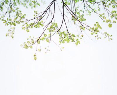 衷心感谢您