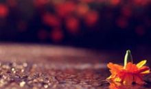 描写痛哭的句子