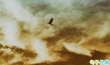 简单实用的敬酒词 酒桌上最经典的敬酒词