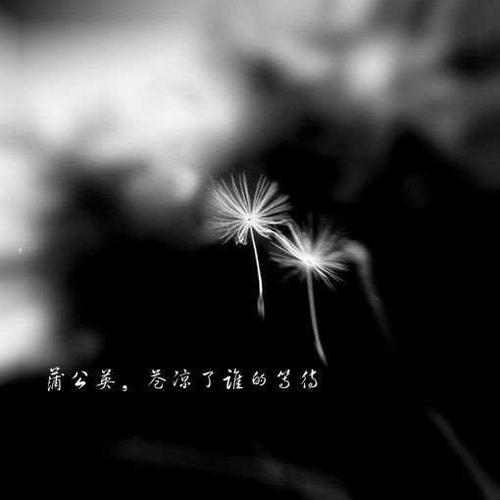 当我们习惯于看不见和沉默时
