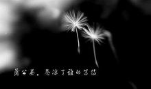 描述对一个人失望到极致的句子