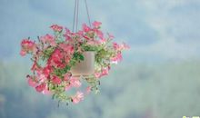 适合做签名的名句 适合做签名的名言警句