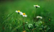 描写人哭的句子