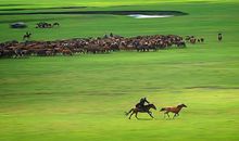 描写大草原的古诗句