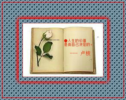 卢梭名言的翻译 0