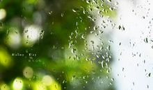 描写初夏雨天的句子