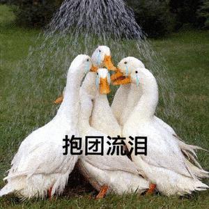 所有人都说