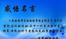 感情名言名句大全