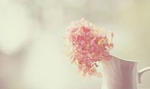 描写对生病了失望的句子