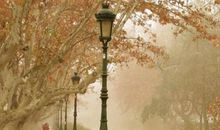 心疼别人的句子