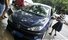 梦见开车掉沟里了