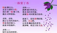 形容老师形象的句子