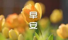 形容早晨开心的句子