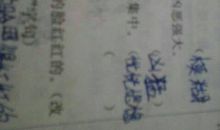 描写心情平静的成语