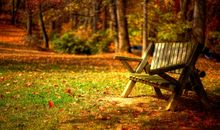 只认钱不认亲情的句子