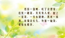 关于想家的诗句