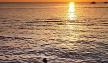 游泳开心的简单句子