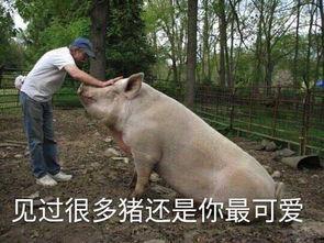 七月的风