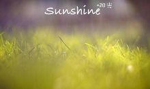 关于阳关的抒情句子